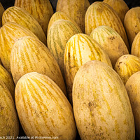 Buy canvas prints of Closeup shot of yellow melons by Frank Bach