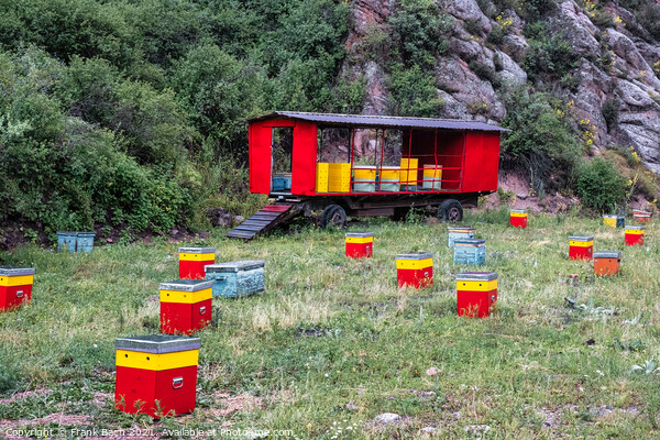 A beautiful shot of red and yellow hive boxes in a mountain Picture Board by Frank Bach