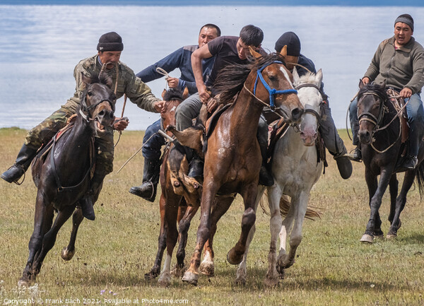 Closeup shot of men riding horses in a field, Son Kul, Kyrgyzsta Picture Board by Frank Bach
