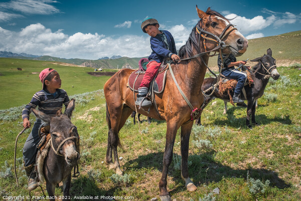 Closeup shot of children on horses and donkeys in Kyrgyzstan Picture Board by Frank Bach