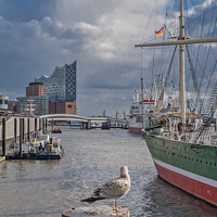 Buy canvas prints of Hamburg Elb harbor with seagulls, Germany by Frank Bach