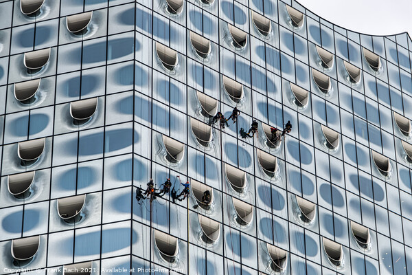 Elbphilharmonie window cleaners at modern concert hall in Hambur Picture Board by Frank Bach