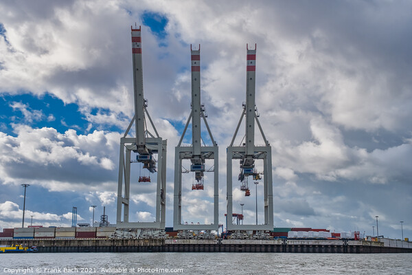 Container cranes in Hamburg harbor, Germany Picture Board by Frank Bach