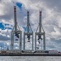 Buy canvas prints of Container cranes in Hamburg harbor, Germany by Frank Bach