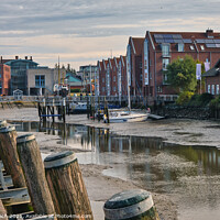 Buy canvas prints of Husum harbor at ebb tide in the marshes, Germany by Frank Bach