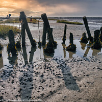 Buy canvas prints of Poles on the beach on Mandoe in the wadden sea, Esbjerg Denmark by Frank Bach