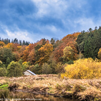 Buy canvas prints of Autumn warm colored leaves, fields and wetlands near Vejle city  by Frank Bach