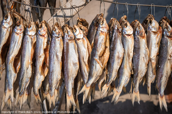 Smoked fish on a farmers market from Lake Issyk Kul in Kyrgyzsta Picture Board by Frank Bach