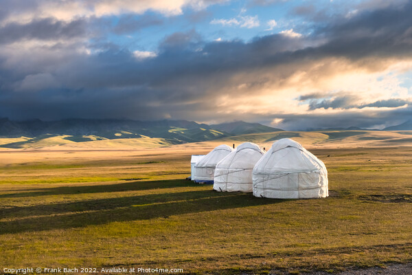 Traditional Yurt camp at the Son Kul lake plateau in Kyrgyztan Picture Board by Frank Bach
