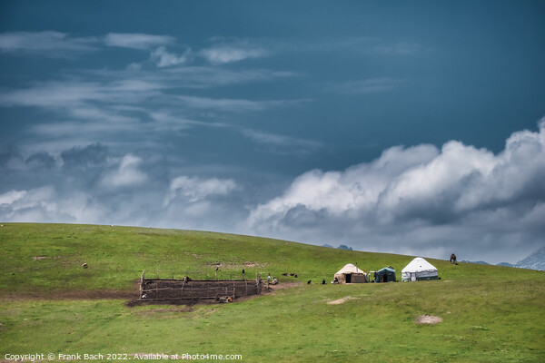 Traditional yurt in the mountains, Kyrgyztan Picture Board by Frank Bach