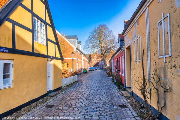 Cobbled streets in the old medieval city Ribe, Denmark Picture Board by Frank Bach