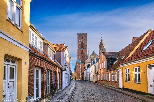 Cathedral in old medieval city Ribe, Denmark Picture Board by Frank Bach