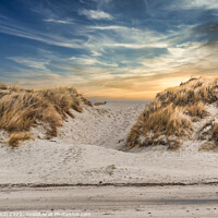 Buy canvas prints of Dunes at the North Sea coast at Blaavand Beach, Denmark by Frank Bach