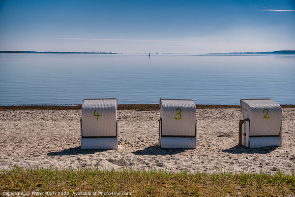Beach chairs in Flensburg fjord between Denmark and Germany Picture Board by Frank Bach