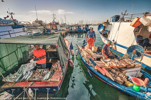 Local fishermen selling their fish in Trapani on Sicily Picture Board by Frank Bach
