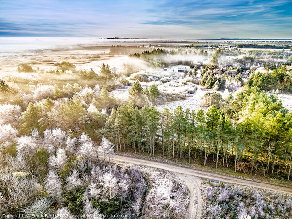 Frosty mornng landscape in Thy rural part of Denmark Picture Board by Frank Bach