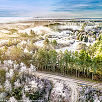 Buy canvas prints of Frosty mornng landscape in Thy rural part of Denmark by Frank Bach