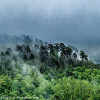 Buy canvas prints of Foggy landscape with trees near Levanto La Spezia, Italy by Frank Bach