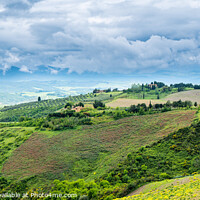 Buy canvas prints of Tuscan landscape farmland outside Voleterra, Tuscany Italy by Frank Bach