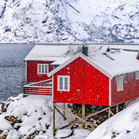 Buy canvas prints of Red rorbu lodges in Hamnoy on Lofoten, Norway by Frank Bach