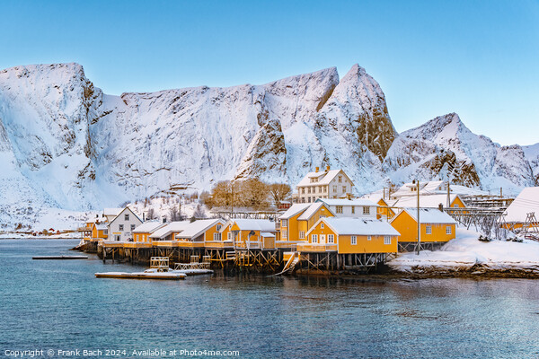 Hamnoy on Lofoten, Wiev over the small town, Norway Picture Board by Frank Bach