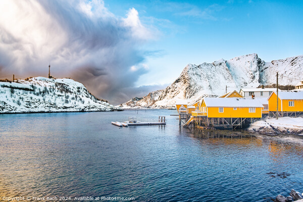 Hamnoy on Lofoten, Wiev over the small town, Norway Picture Board by Frank Bach