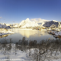 Buy canvas prints of Lofoten Rein panorama over the fishing village, Norway by Frank Bach