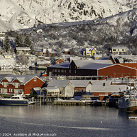 Buy canvas prints of Lofoten Reine panorama over the fishing village, Norway by Frank Bach