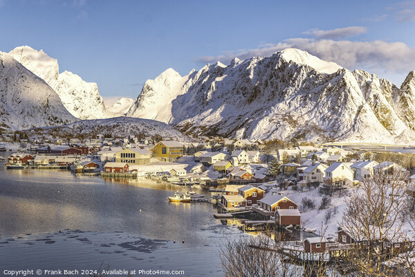 Lofoten Reine panorama over the fishing village, Norway Picture Board by Frank Bach