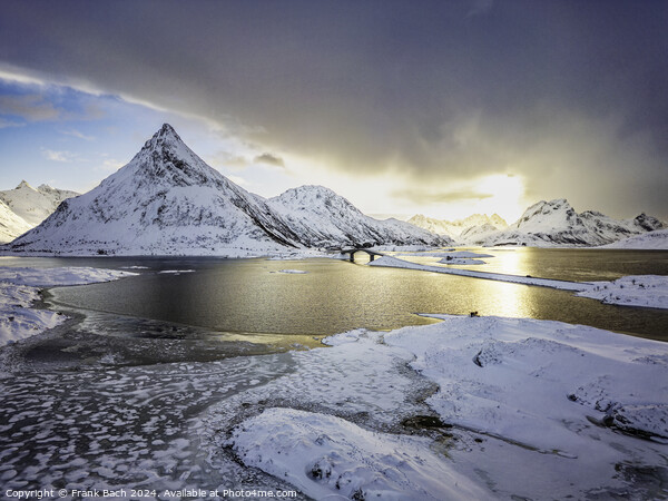 Lofoten highway bridge in winter time, Norway Picture Board by Frank Bach