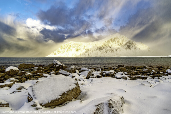 Lofoten vik beach in winter time, Norway Picture Board by Frank Bach