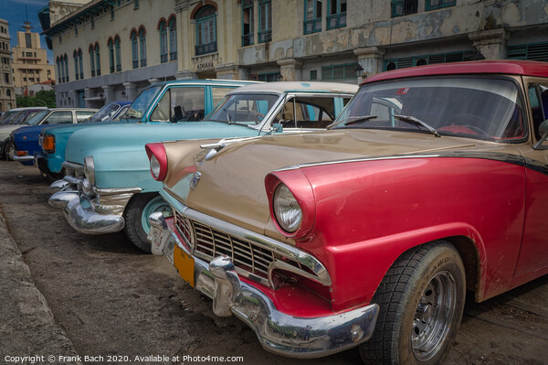 Classic old time cars in Havana, Cuba Picture Board by Frank Bach
