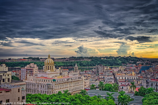 Havana panorama of the city, Cuba Picture Board by Frank Bach