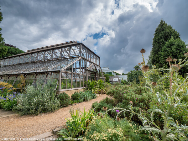 Cambridge botanic garden greenhouses, England Picture Board by Frank Bach