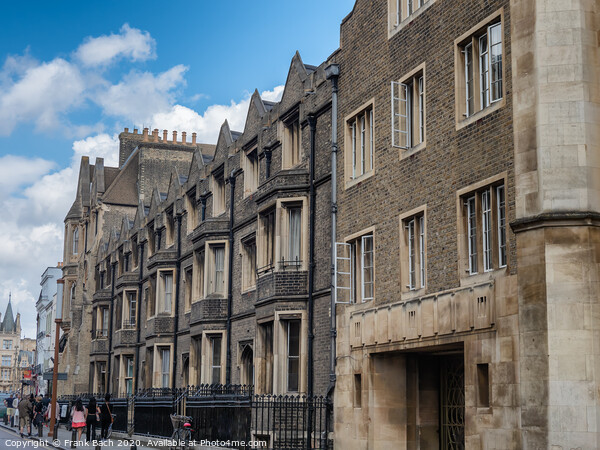 Streets with traditional homes in Cambridge, England Picture Board by Frank Bach