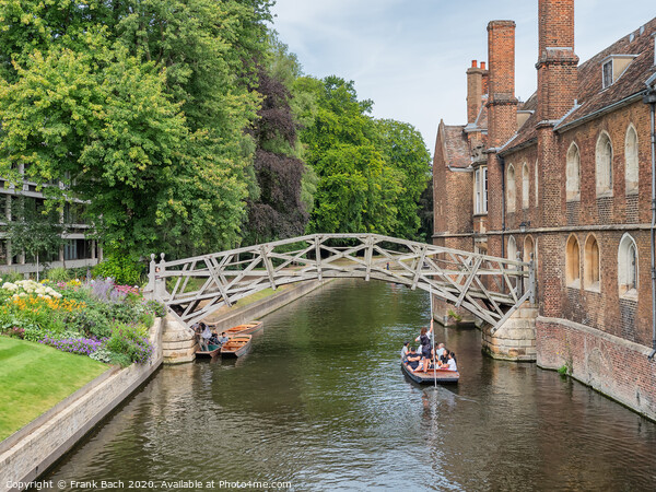 The Mathematical Bridge over river Cam in Cambridge, England Picture Board by Frank Bach