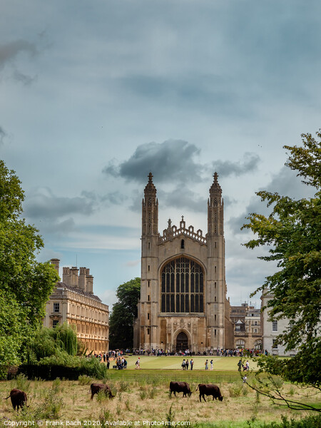 Kings college University and chapel in Cambridge, England Picture Board by Frank Bach