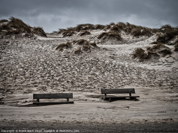 Henne beach in Jutland with benches on a stormy day, Denmark Picture Board by Frank Bach