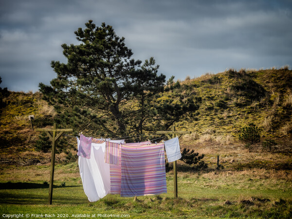 Washing hanging to dry on Mandoe island in the wadden sea, Esbjerg Denmark Picture Board by Frank Bach
