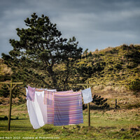 Buy canvas prints of Washing hanging to dry on Mandoe island in the wadden sea, Esbjerg Denmark by Frank Bach