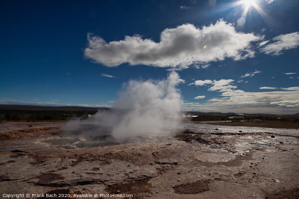 Strokkur geothermal geysir in Iceland Picture Board by Frank Bach