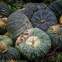 Buy canvas prints of Fresh harvested pumpkins ready for sale by Frank Bach