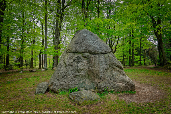 Tirslund glacial megalith stone in western Denmark Picture Board by Frank Bach