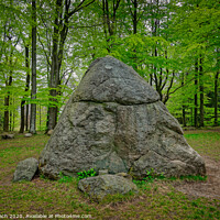 Buy canvas prints of Tirslund glacial megalith stone in western Denmark by Frank Bach