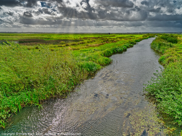 Skjern enge meadows flood delta in Denmark Picture Board by Frank Bach