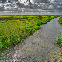 Buy canvas prints of Skjern enge meadows flood delta in Denmark by Frank Bach