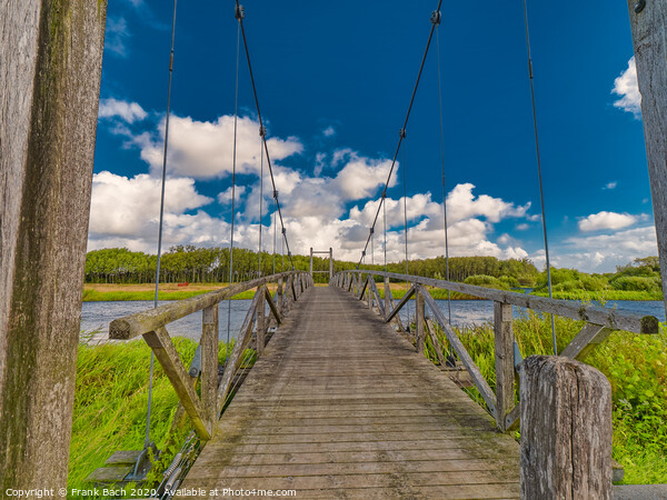 Kong Hans suspension  bridge in Skjern meadows Ringkoebing, Denmark Picture Board by Frank Bach
