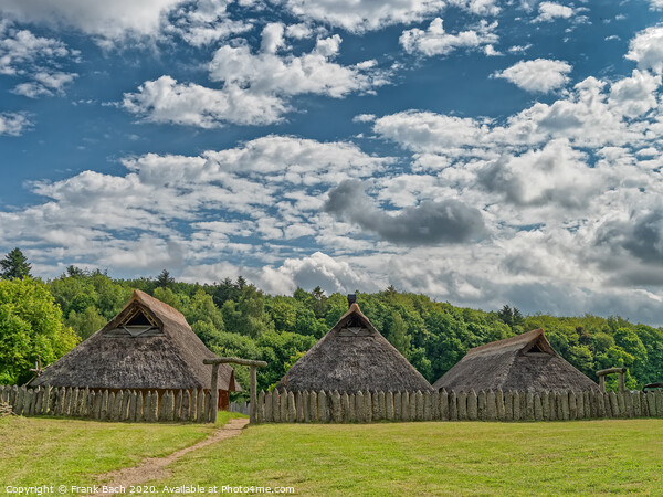 Iron age settlement living museum near Vingsted Vejle, Denmark Picture Board by Frank Bach