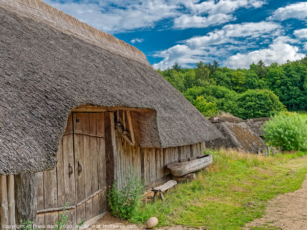 Iron age settlement living museum near Vingsted Vejle, Denmark Picture Board by Frank Bach