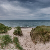 Buy canvas prints of Dunes at the North Sea Coast in Jammerbugt, Denmark by Frank Bach